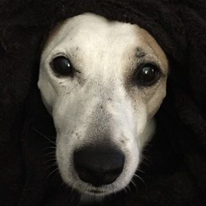 Meet your Posher, Jeff